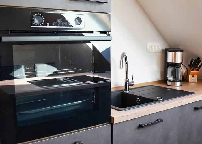 Old Mill House Daire Bohinj